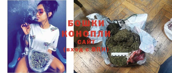 дурь Магас
