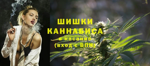 дурь Магас