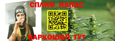 тгк Можга