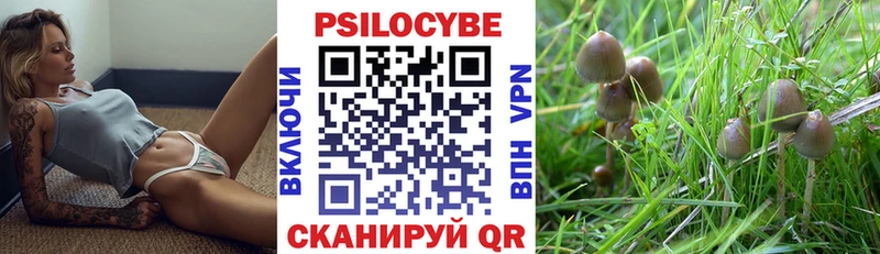 Галлюциногенные грибы мухоморы  Усть-Илимск 