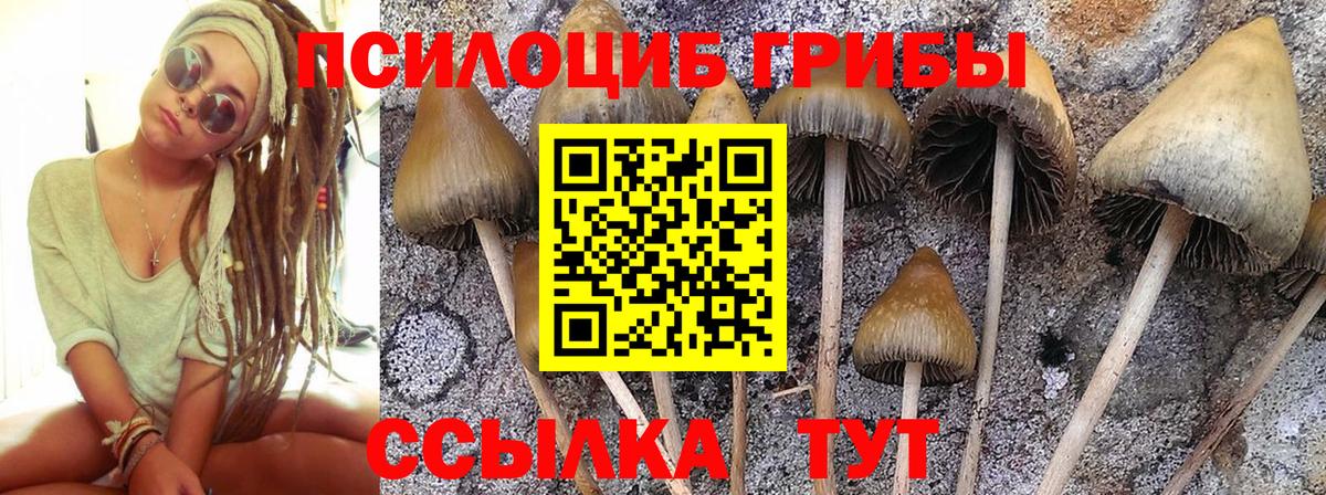 Усть-Илимск  Галлюциногенные грибы Psilocybe  Галлюциногенные грибы ЛСД  Вход с VPN 