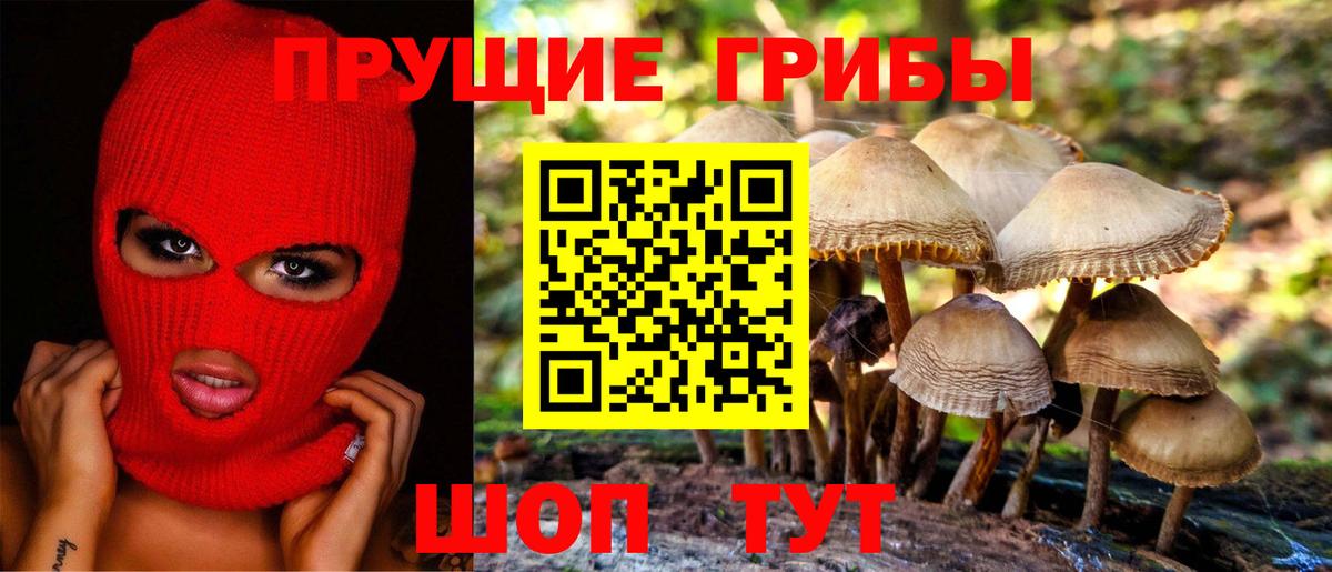 Галлюциногенные грибы Усть-Илимск